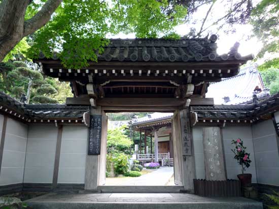 蓮教寺の山門